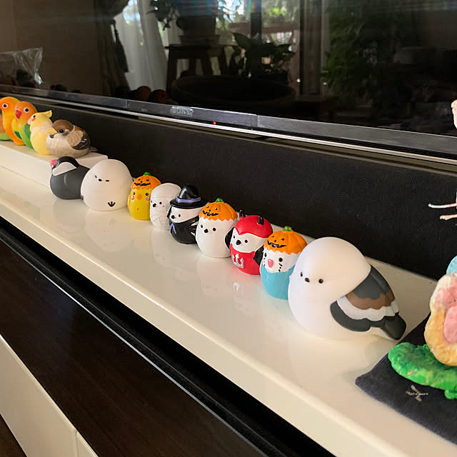Aqettyさんの部屋