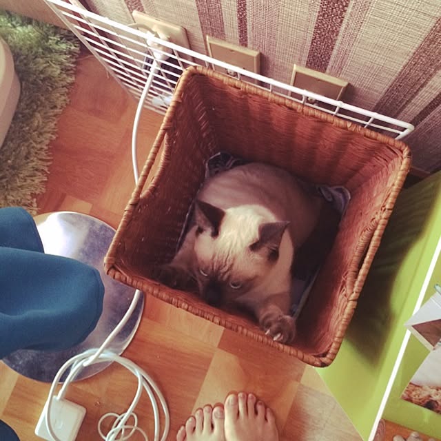 MAKOさんの実例写真