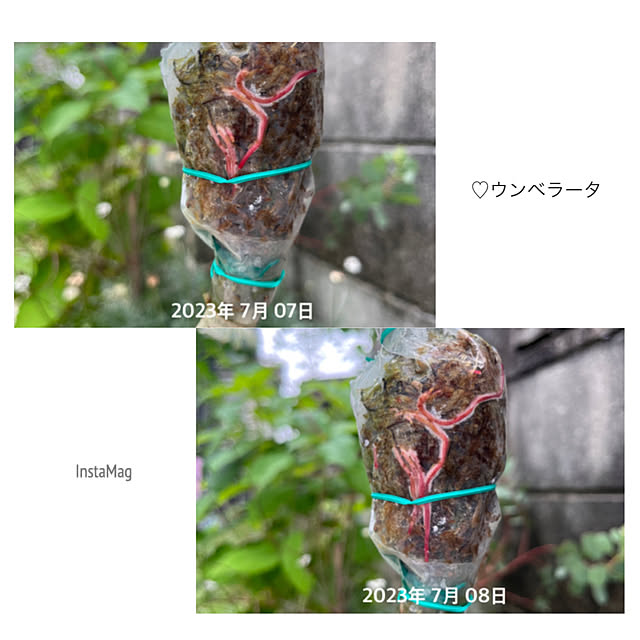 asさんの部屋