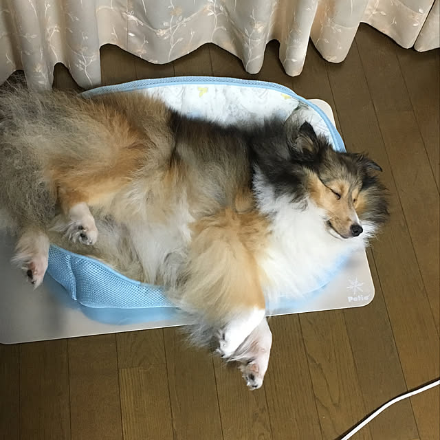 konokonoさんの実例写真