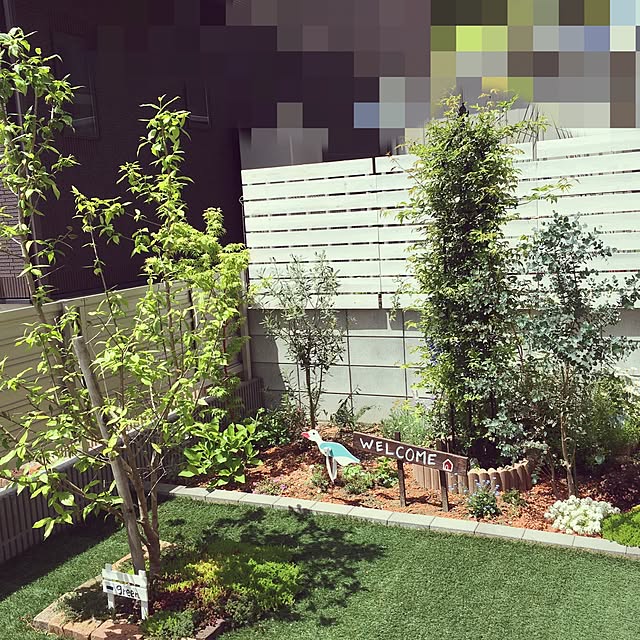 srm681さんの実例写真