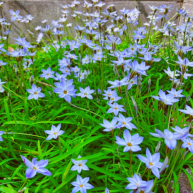 .tinkunさんの部屋