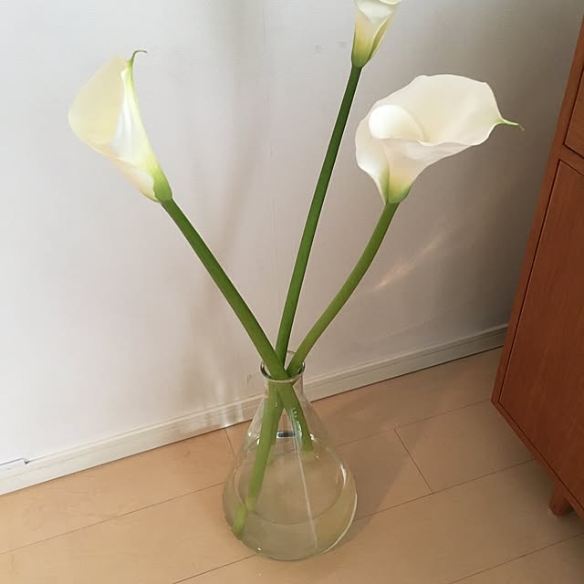 rinさんの実例写真
