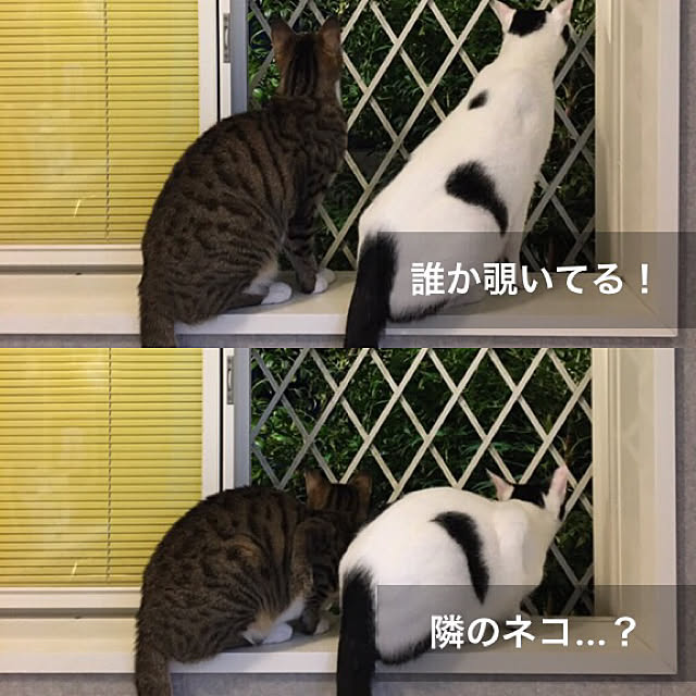 nobikoさんの実例写真