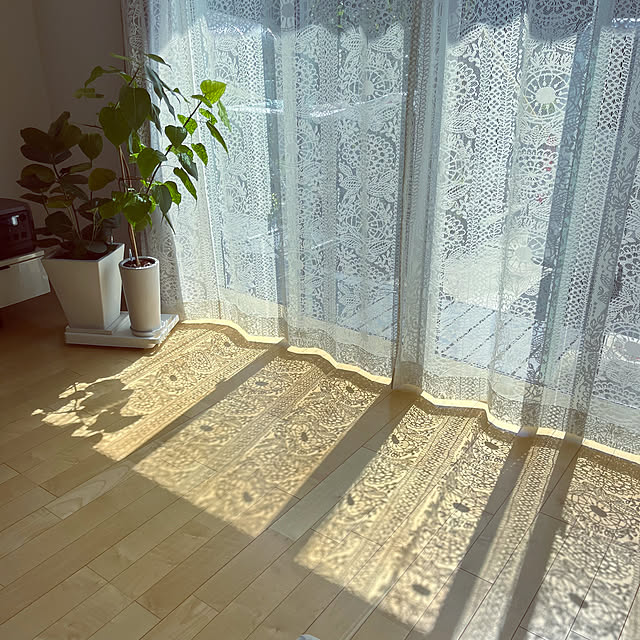 Mikiさんの実例写真