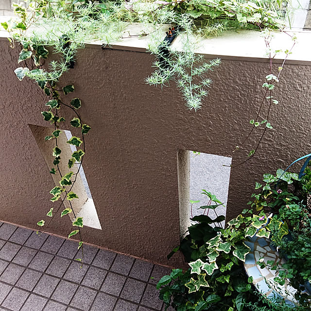 asaさんの実例写真