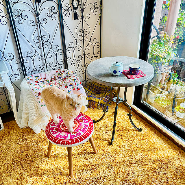 naokoさんの実例写真