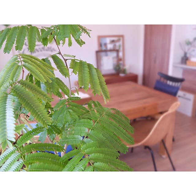 hara0707さんの実例写真