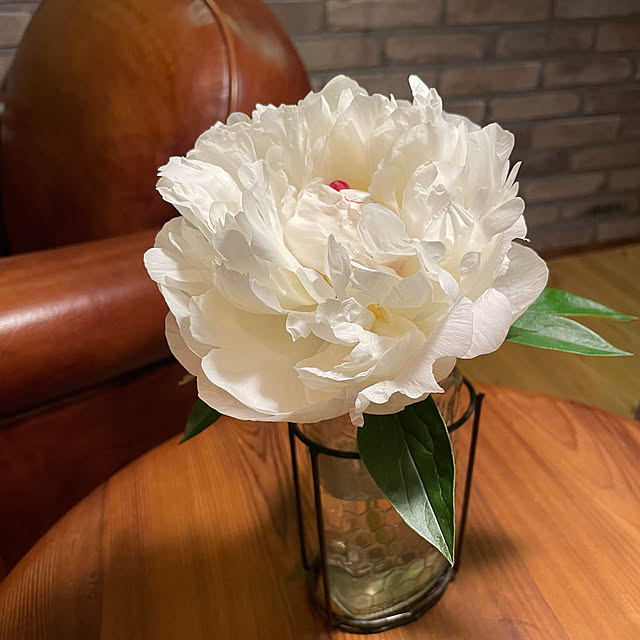 plus710さんの実例写真