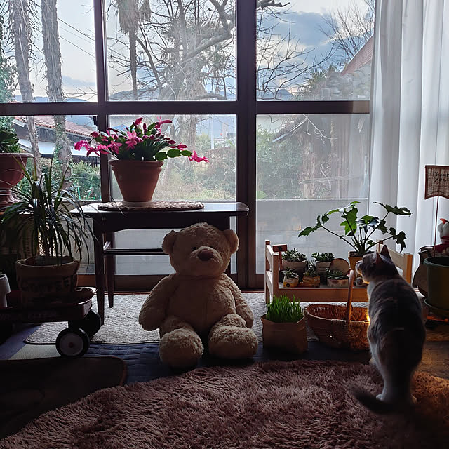 fukuさんの実例写真
