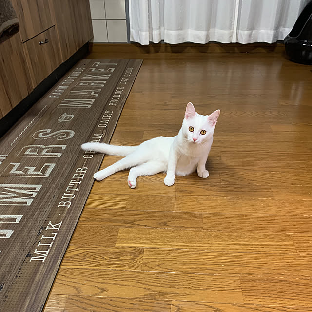 keiさんの実例写真