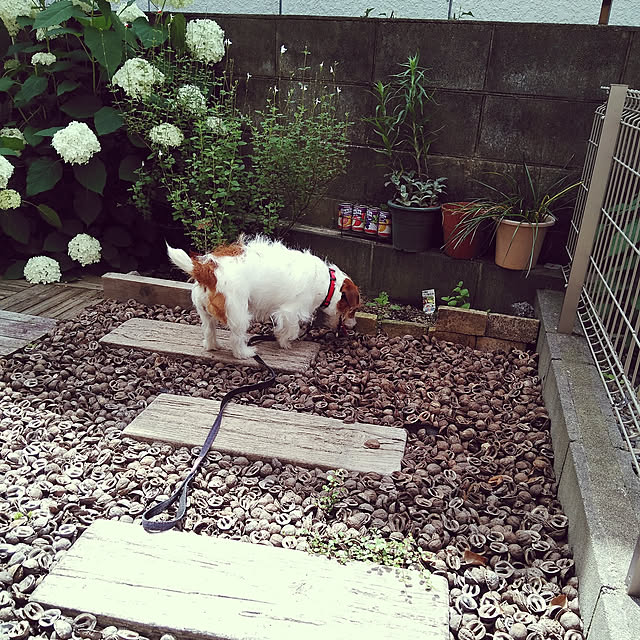 mintさんの実例写真