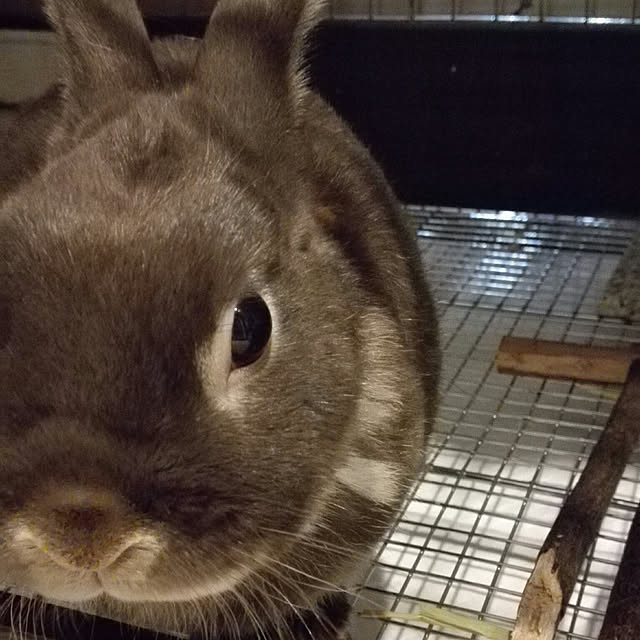 1ldksさんの実例写真