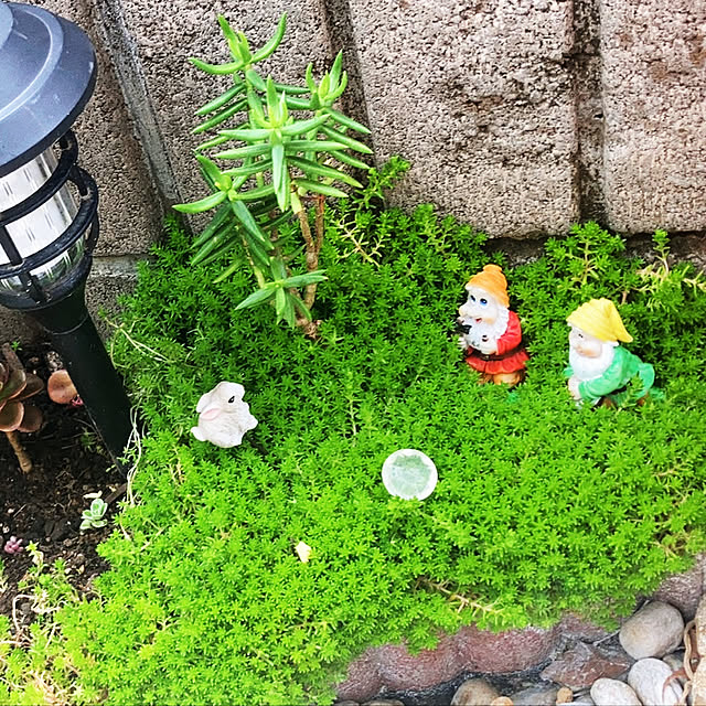 lin1119さんの実例写真