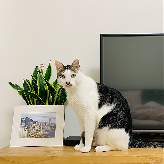 pcu110さんの実例写真
