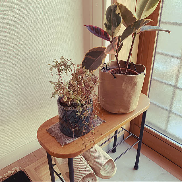 botanical884さんの実例写真