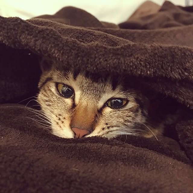 yuz96さんの実例写真