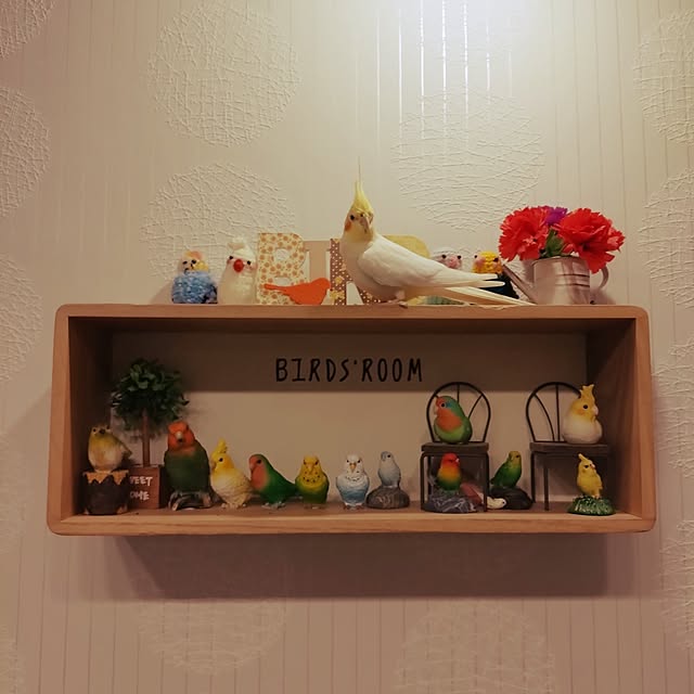 toratanさんの実例写真
