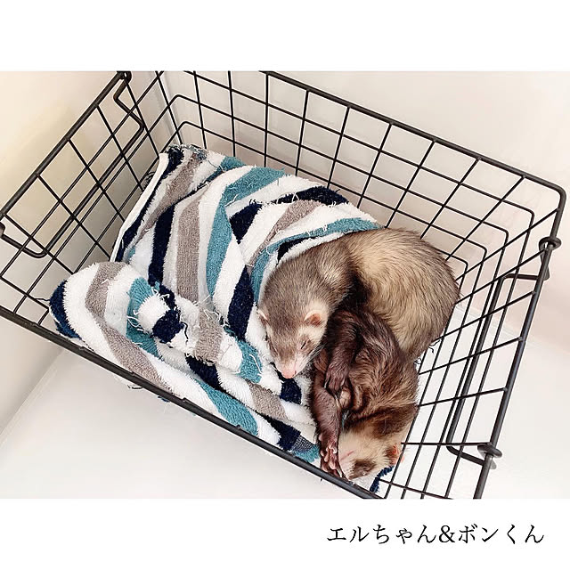 chaluさんの実例写真