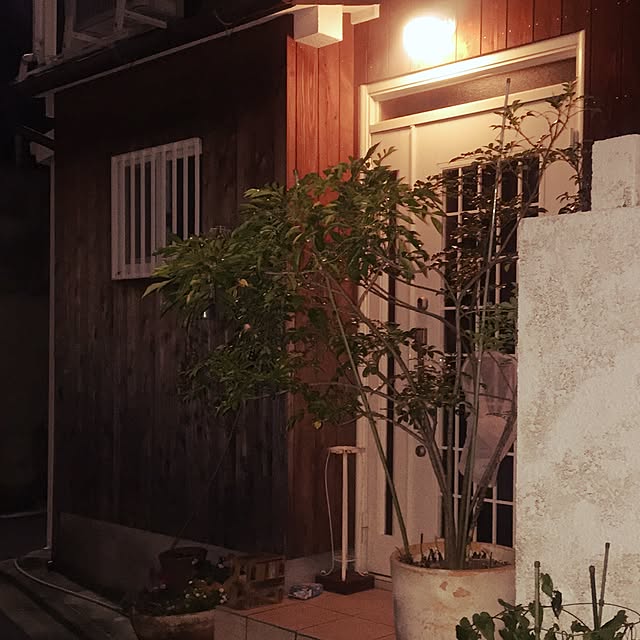Hamuさんの実例写真