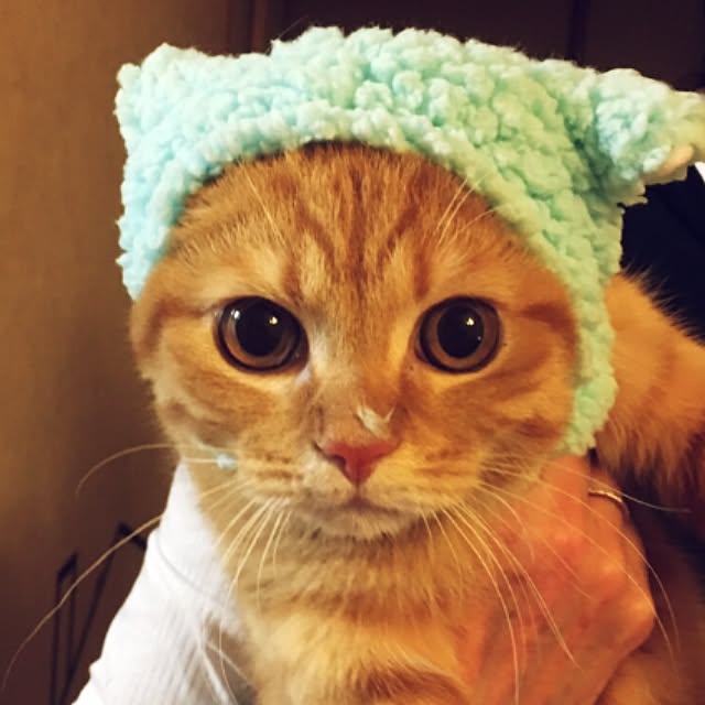 rumiさんの実例写真
