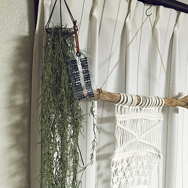 ankoさんの実例写真