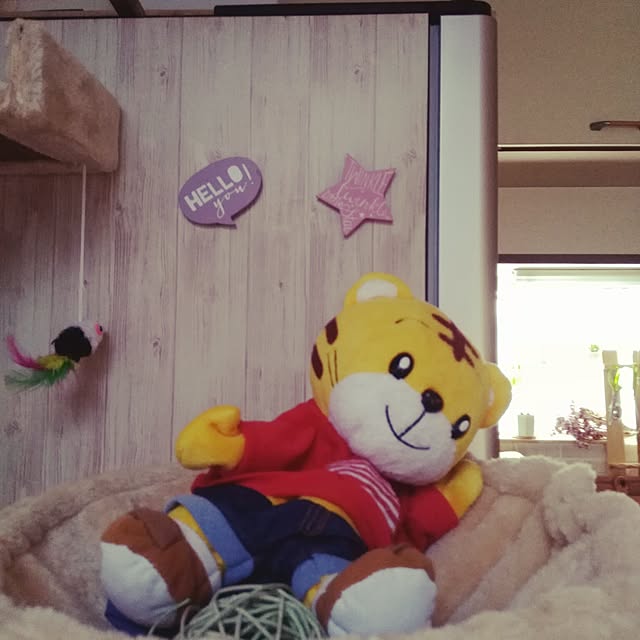fruityanさんの実例写真