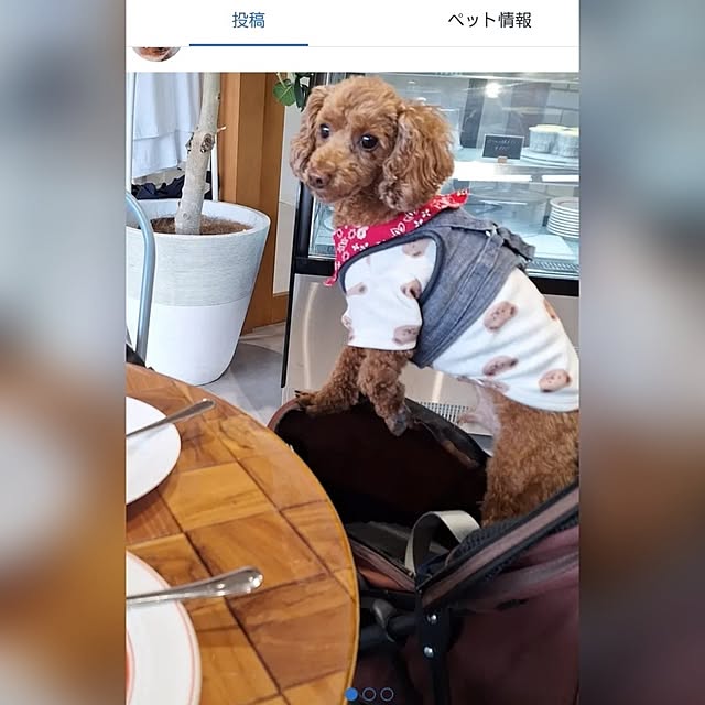 Blancheさんの実例写真