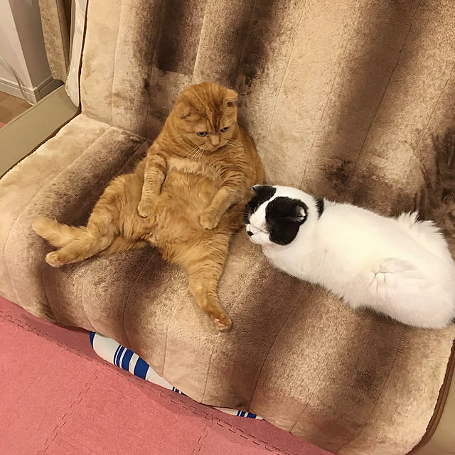 pinaminさんの実例写真