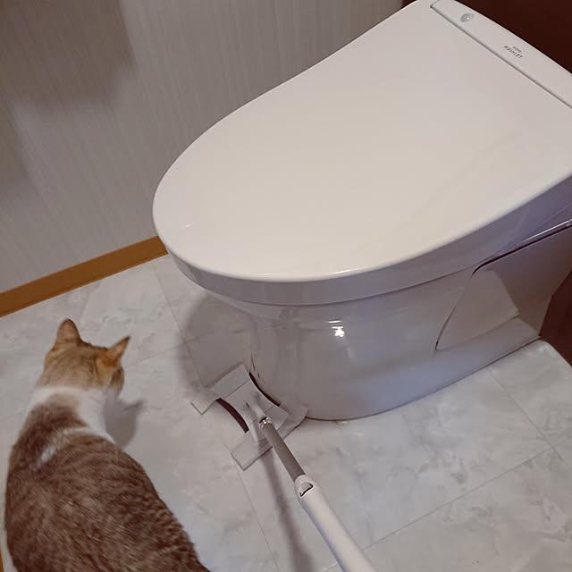 nachiさんの実例写真