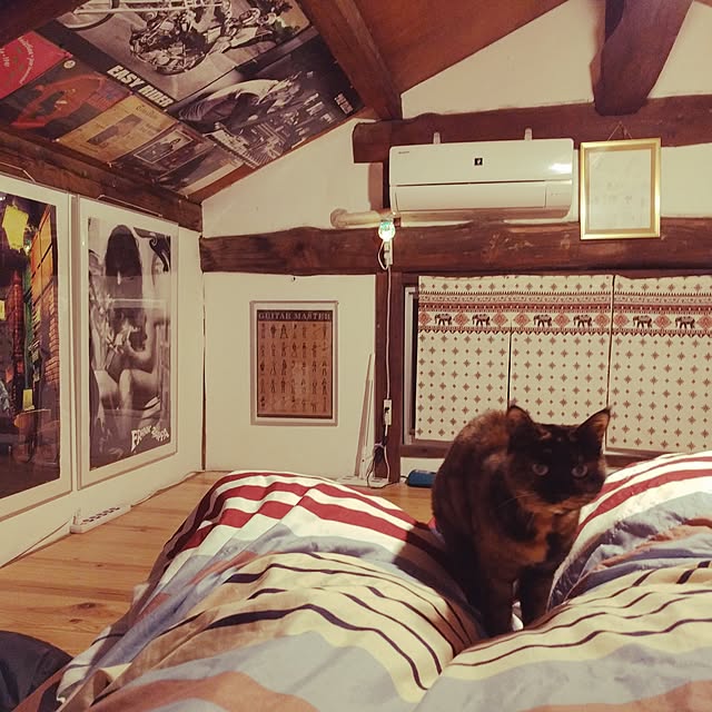 higemanさんの実例写真