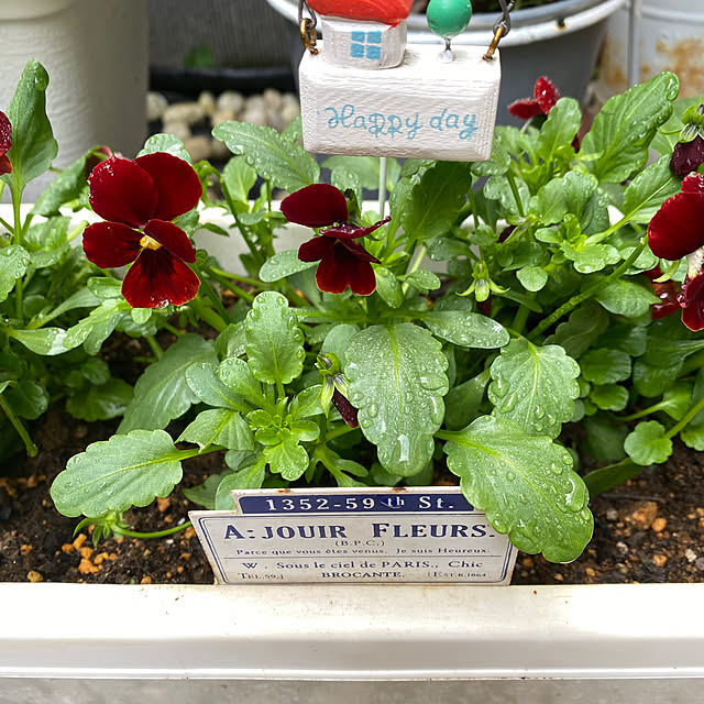 YuuKoさんの部屋