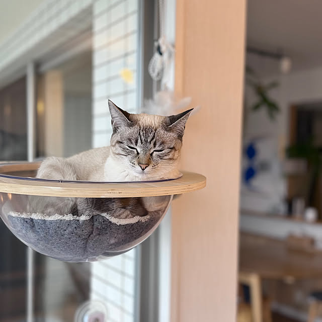 amさんの部屋