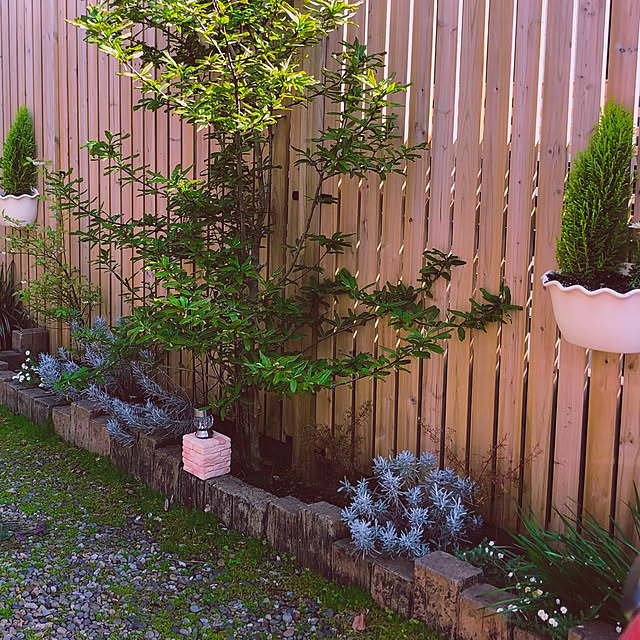 chacoさんの実例写真