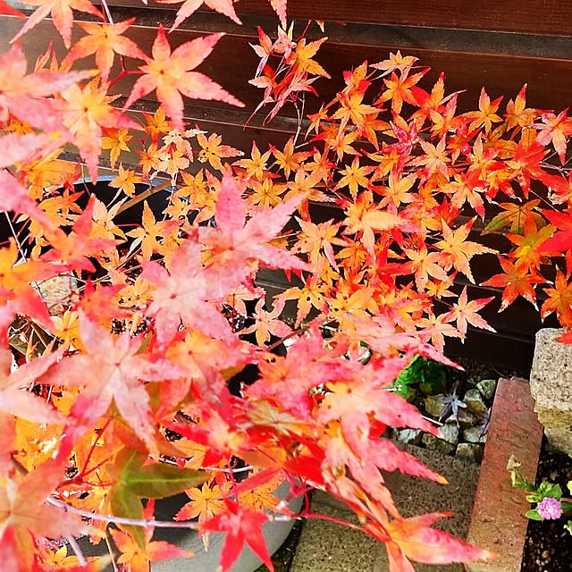 hanano087さんの実例写真