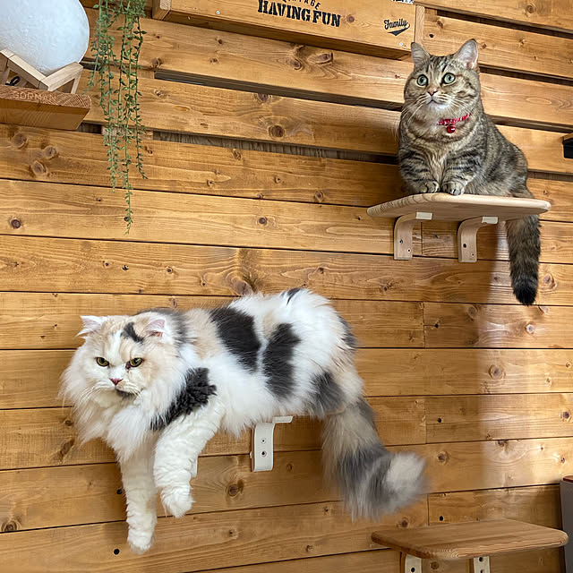 keibooさんの実例写真