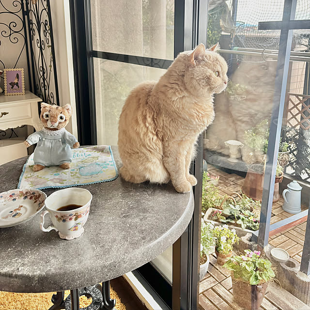 naokoさんの実例写真