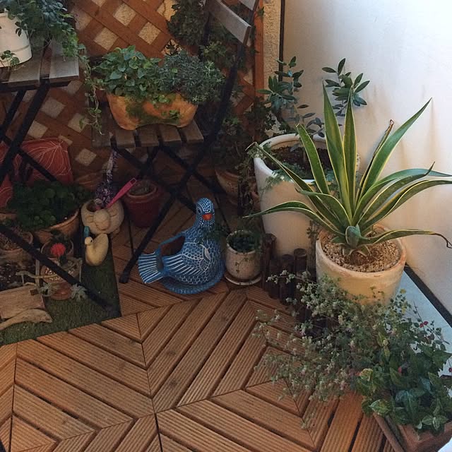 cowslipprimroseさんの実例写真