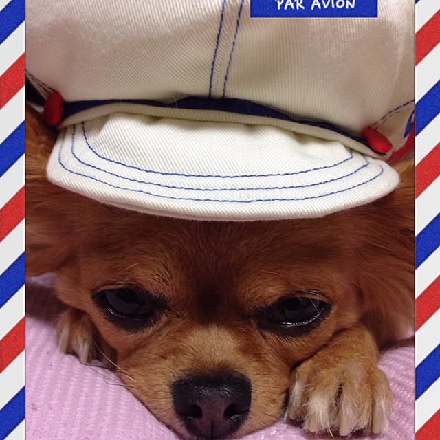cocoさんの実例写真
