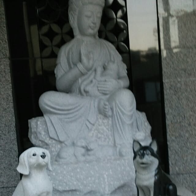 nyankichichanさんの実例写真