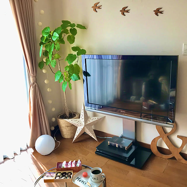 インテリア/観葉植物/北欧インテリア/シンプル/シンプルナチュラル...などのインテリア実例 - 2021-03-22 18:46:48