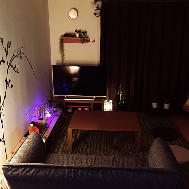 nrg56263さんの実例写真