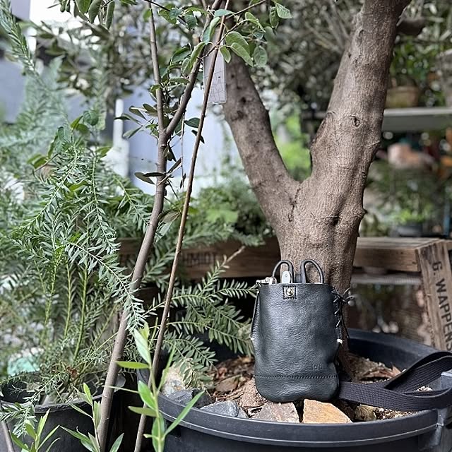 Royal_Gardeners_Clubさんの実例写真