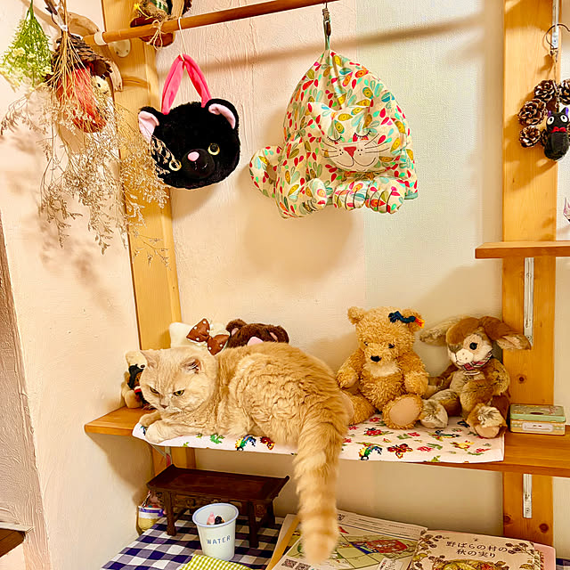 naokoさんの部屋