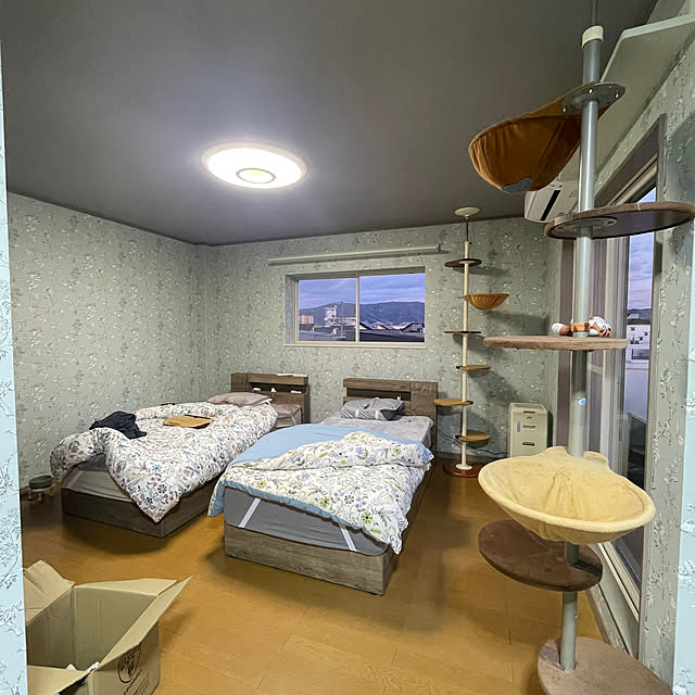 nekohagu2022さんの実例写真