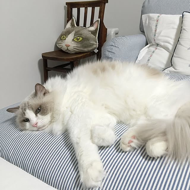 yuchiさんの実例写真