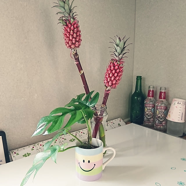 mayuroseさんの実例写真