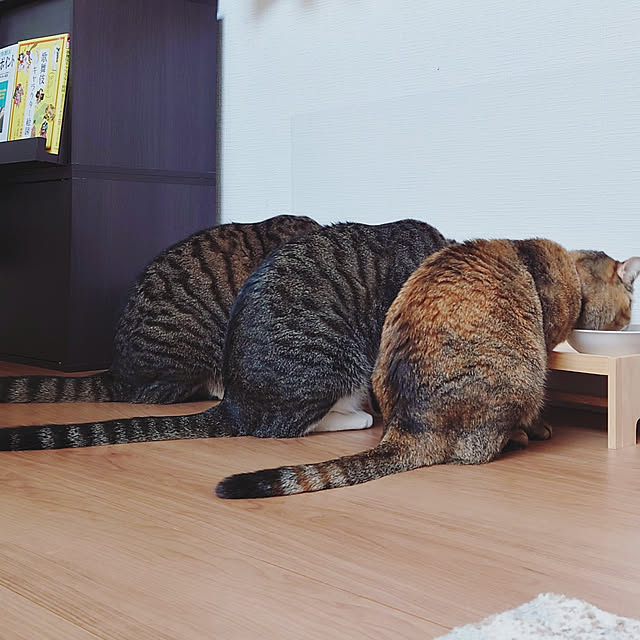mochicoさんの実例写真