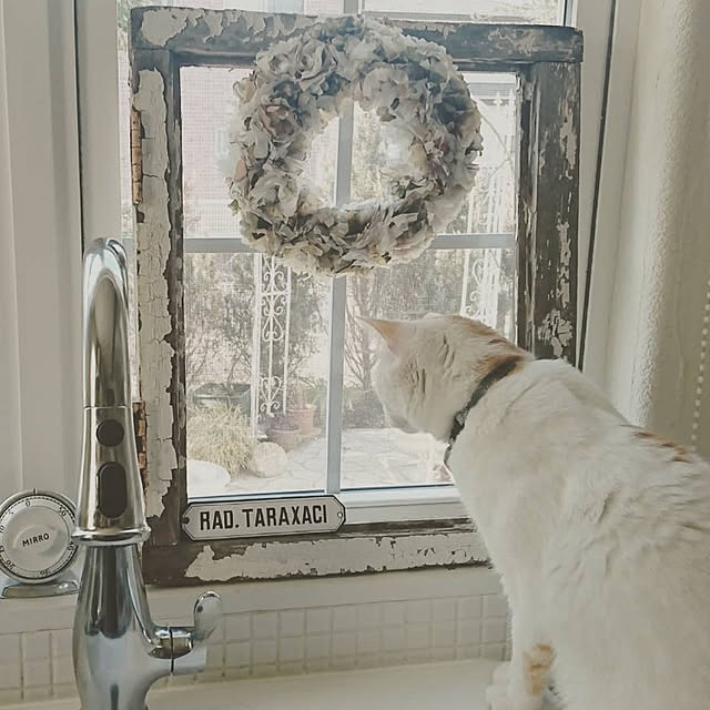 kiyosukeさんの実例写真