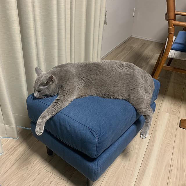 sayuuuさんの実例写真